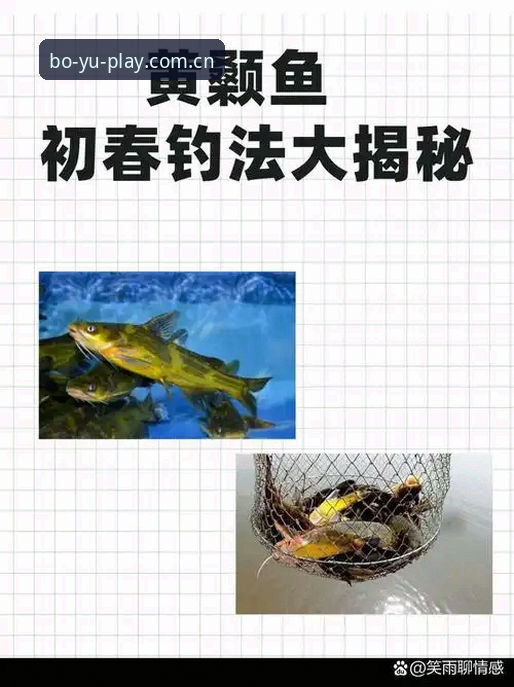 博鱼安卓版下载 揭秘博鱼安卓版下载背后的真相:为何老用户都在用v3.0.1?